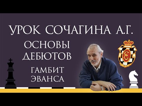 Видео: Видеоурок А.Г. Сочагина. Основы дебютов. Гамбит Эванса