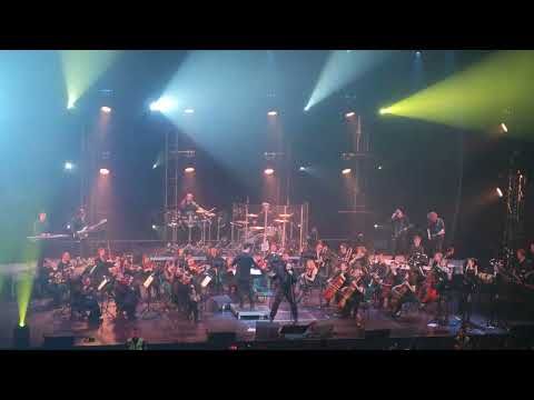 Видео: ГОРШЕНЕВ с оркестром - «По раскрашенной душе» 31.05.2025 г. Санкт-Петербург (Весь концерт)