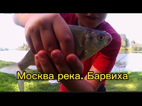 Видео: Рыбалка. Москва река. Барвиха,жара,много отдыхающих  слабый клев.