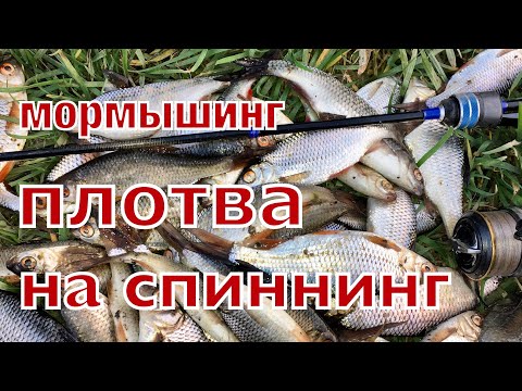 Видео: Плотва на спиннинг . Весенний мормышинг . Вот это рыбалка я понимаю !