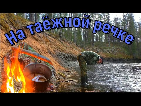 Видео: ПОХОД С НОЧЁВКОЙ НА ДИКУЮ ТАЁЖНУЮ РЕЧКУ,ХАРИУС НА УДОЧКУ.