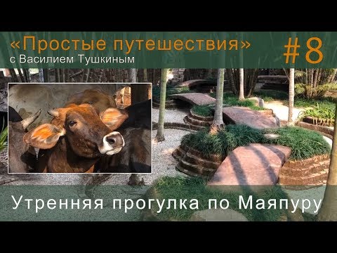 Видео: "Простые путешествия" #8 - Маяпур: Утренняя прогулка, Гошала, Институт и др.