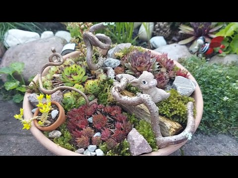 Видео: Домики для/ КОМПОЗИЦИИ из молодил/ каменных роз в моём саду# Häuser für Sempervivum...