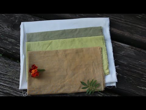 Видео: Окрашивание ткани натуральными красителями: Бархатцы / Natural Dyes: Marigold