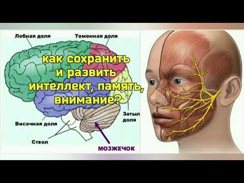 Видео: Отзыв на видеокурс "Укрепление нервов и сосудов мозга", 3