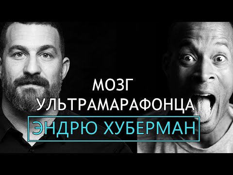 Видео: Разговор НЕЙРОБИОЛОГА и МОРСКОГО КОТИКА