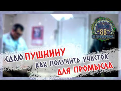 Видео: Регион 88 | Сдаю пушнину в поселке. Как получить участок для промысла соболя.