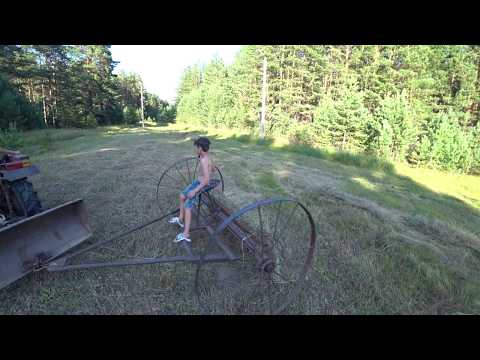 Видео: Сгребаем сено конными граблями,покос 2019.