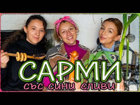 Видео: Постни САРМИ с кисело зеле за БЪДНИ ВЕЧЕР | със сини сливи и печени НА ОГЪН | Ферма Монсър