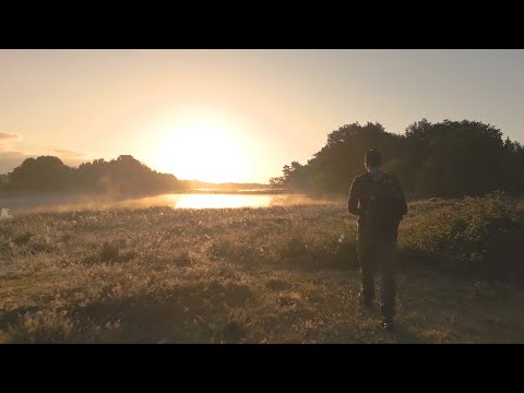 Видео: ТЫ СМОТРИШЬ НА СЕБЯ (г.Екатеринбург 2022 г.)