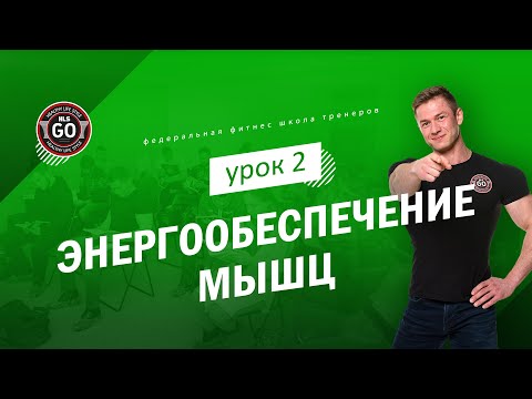 Видео: Энергообеспечение мышц - урок 2 (Химические реакции получения АТФ)