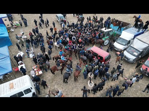 Видео: Еркинов Анарбай мырзаның дүбірлі көкпар тойы 08-01-2023 Мақтаарал ауданы