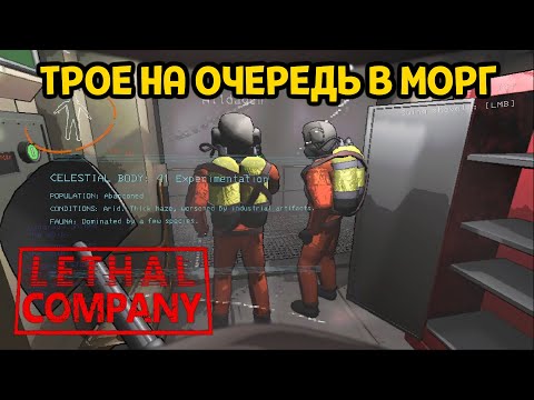 Видео: ДВЕ УСПЕШНЫХ СМЕНЫ ( Lethal Company )