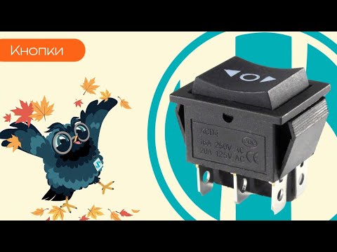 Видео: Кнопки - Олниса