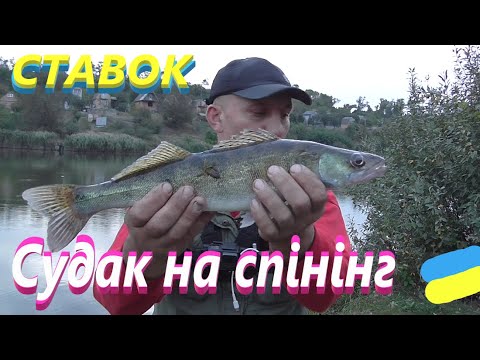 Видео: А це вже краще # Судак на ставку #РибачуЯкУмію