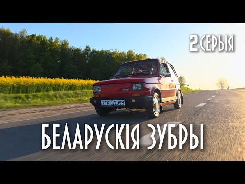 Видео: БЕЛАРУСКІЯ ЗУБРЫ (2 серыя)