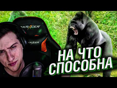 Видео: НА ЧТО СПОСОБНА ГОРИЛЛА В ЯРОСТИ // РЕАКЦИЯ HELLYEAHPLAY