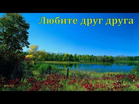 Видео: "Любите друг друга". С. Ф. Герасименко. МСЦ ЕХБ