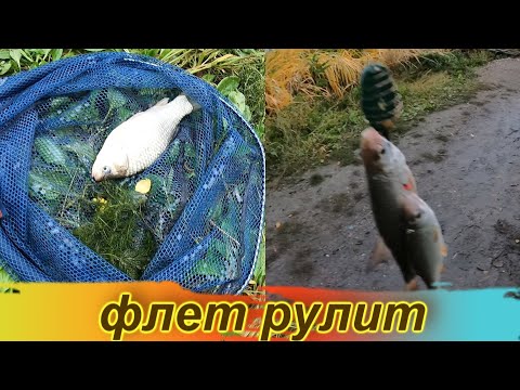 Видео: Трудовая рыбалка  8 --9  октября приносит успех