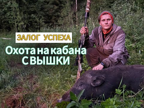 Видео: ОХОТА  НА КАБАНА С ВЫШКИ, НЕПРОСТО, НО РЕЗУЛЬТАТИВНО!