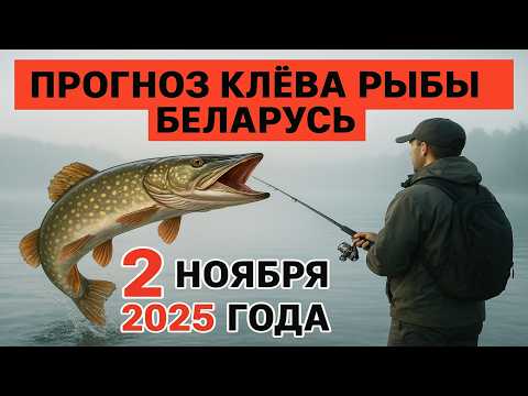 Видео: ПРОГНОЗ КЛЁВА в Беларуси на 2 ноября 2025 года: Бросай все и на рыбалку!