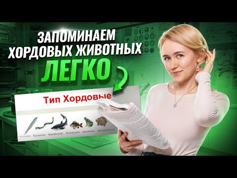 Видео: Все хордовые животные | ОГЭ по биологии 2025 | Умскул