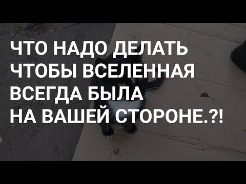 Видео: ВСЕЛЕННАЯ ВСЕГДА БУДЕТ ЗА ВАС ! ТОЛЬКО В ЭТОМ СЛУЧАЕ !