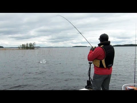Видео: Поход за щукой или ловля щуки на нытье. Щука весной