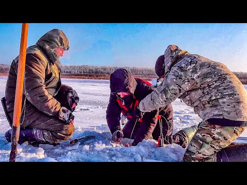 Видео: ВОТ ЭТО ЛОПАТЫ!! Дикий клёв леща на мормышку! Ловля на КОМБАЙНЫ .Рыбалка с Always Alone