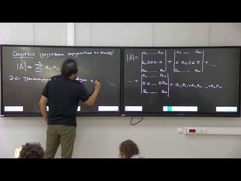 Видео: Введение в линейную алгебру. Лекция 9. Авилов А. А.