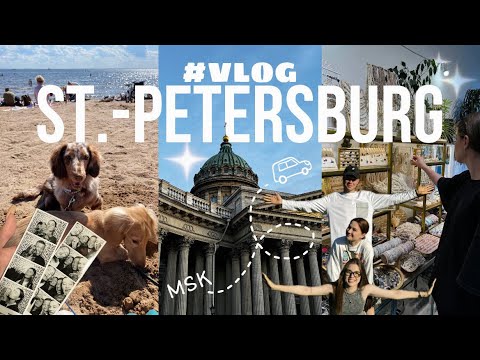 Видео: VLOG#3 Путешествие в ПИТЕР с собаками | 1 часть