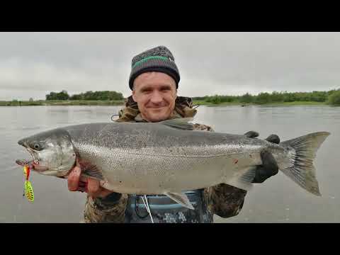 Видео: КАМЧАТКА.Ловля кижуча.Река Большая .день 4-5
