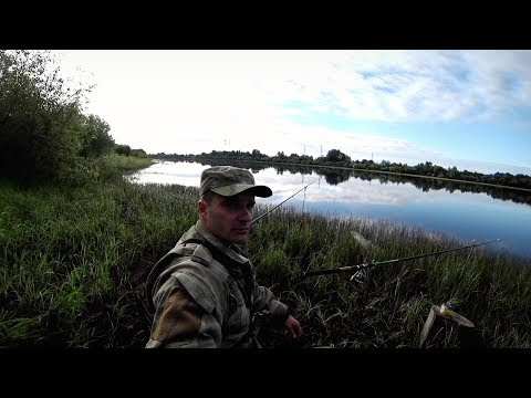 Видео: Рыбалка на утренней зорьке. Ловлю на курье реки Вычегда.