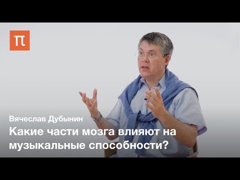 Видео: Слуховые центры головного мозга — Вячеслав Дубынин