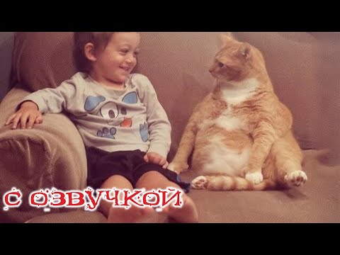 Видео: ПРИКОЛЫ С КОТАМИ! Самая смешная озвучка животных! РЖАКА ДО СЛЕЗ!