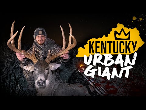 Видео: Раненый городской кентуккийский олень, пойманный с помощью MegaMeat Broadhead | ГРАФИЧЕСКОЕ ПРЕДУ...