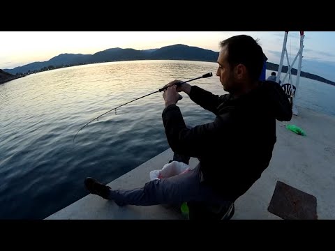 Видео: Риболов на гопа. Морски риболов в Гърция