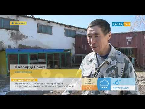 Видео: Қоян шаруашылығы