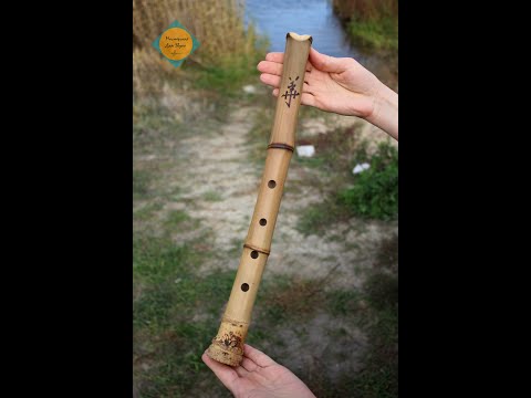Видео: Сякухати  Цветок  1.7 (F)