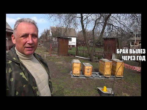 Видео: РОГАТЫЙ УЛЕЙ   БРАК ВЫЛЕЗ ЧЕРЕЗ ГОД