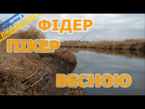 Видео: Пикер и фидер в марте на реке Стырь! Рыбалка перед нерестовым запретом 2020! Скоро нерест 2020