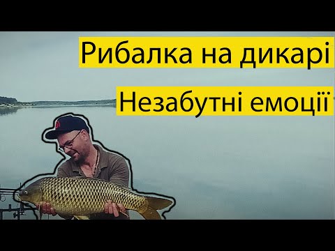 Видео: Зловив дикого коропа.Все пішло не запланом.с.Корчів.
