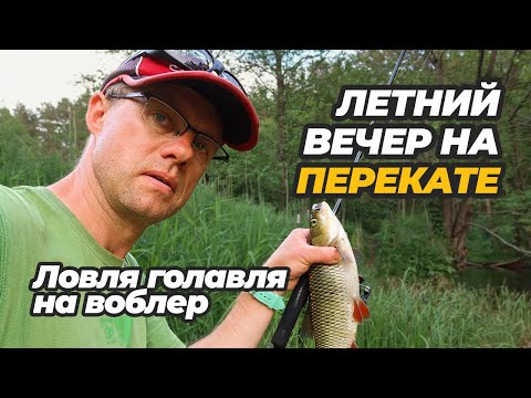 Видео: Летний вечер на речном перекате. Ловля голавля на воблер