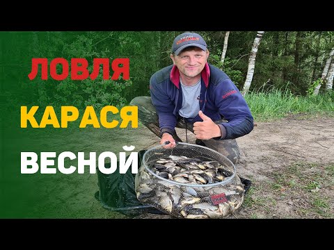 Видео: Ловля карася весной.  Проще чем кажется.