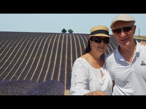 Видео: Пожалуй,это последняя прогулка в поиске лавандовых полей.Мы с мужем в шоке/ Valensole Lavande