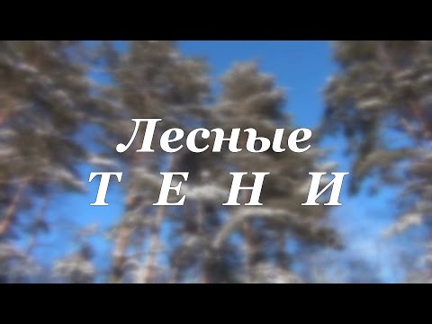 Видео: Фильм "Лесные Тени"