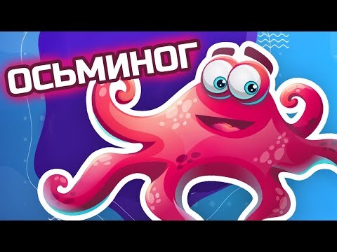 Видео: Животные - Морские обитатели - Осьминог