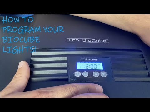 Видео: КАК ПРОГРАММИРОВАНИЕ СВЕТИЛЬНИКОВ BIOCUBE | BIOCUBE 101