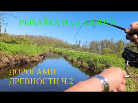Видео: Рыбалка на реке Авлога! Дорогами Древности! 2024 #рыбалка #рыбалканаспиннинг