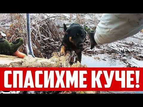 Видео: СПАСИХМЕ ИЗМРЪЗНАЛО КУЧЕ ОТ РЕКАТА. Риболов на щука!